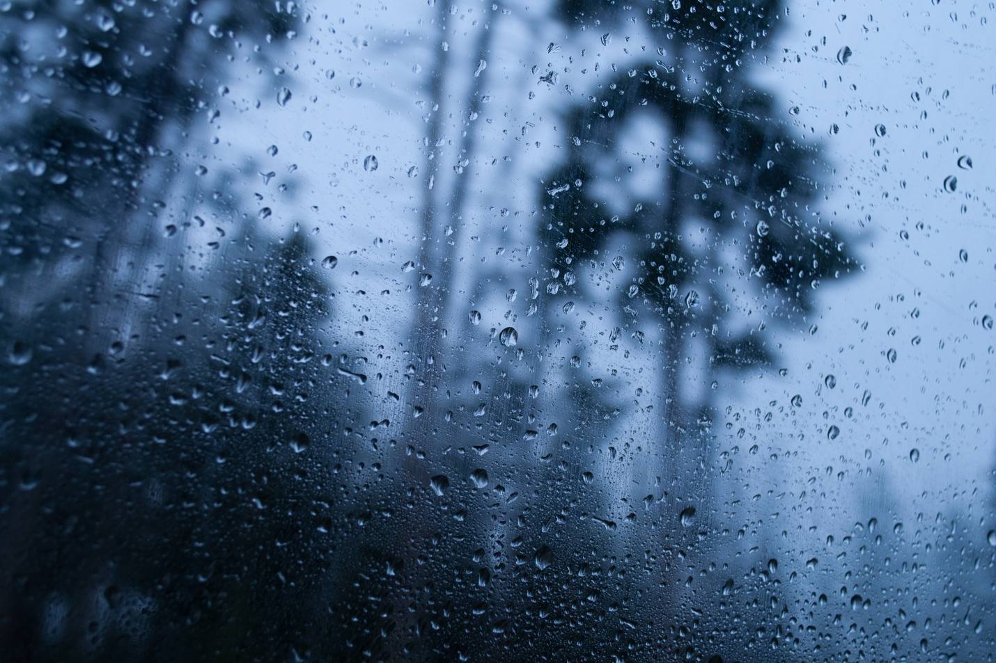 Ramalan Cuaca Kaltim dan IKN, 31 Agustus 2025, Cek di Sini!