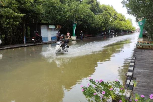 Gelombang Laut Tinggi, BPBD Bontang Ingatkan Potensi Banjir Rob