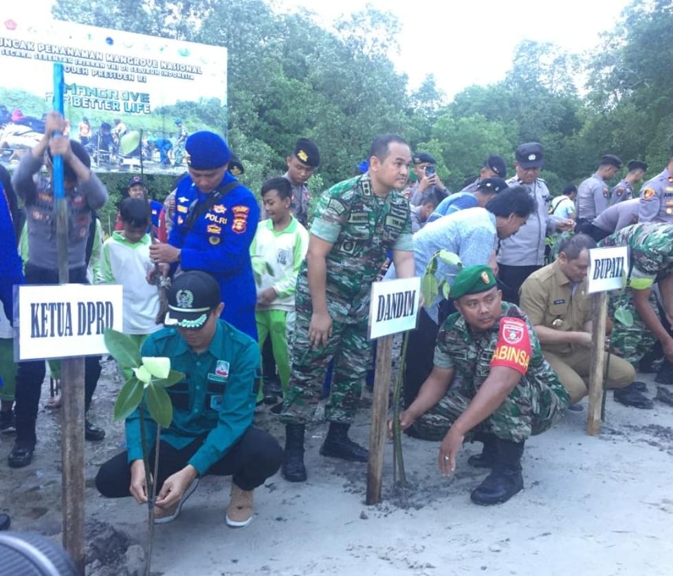 9 Ribu Hektare Lahan Dikhususkan untuk Rehabilitasi Mangrove