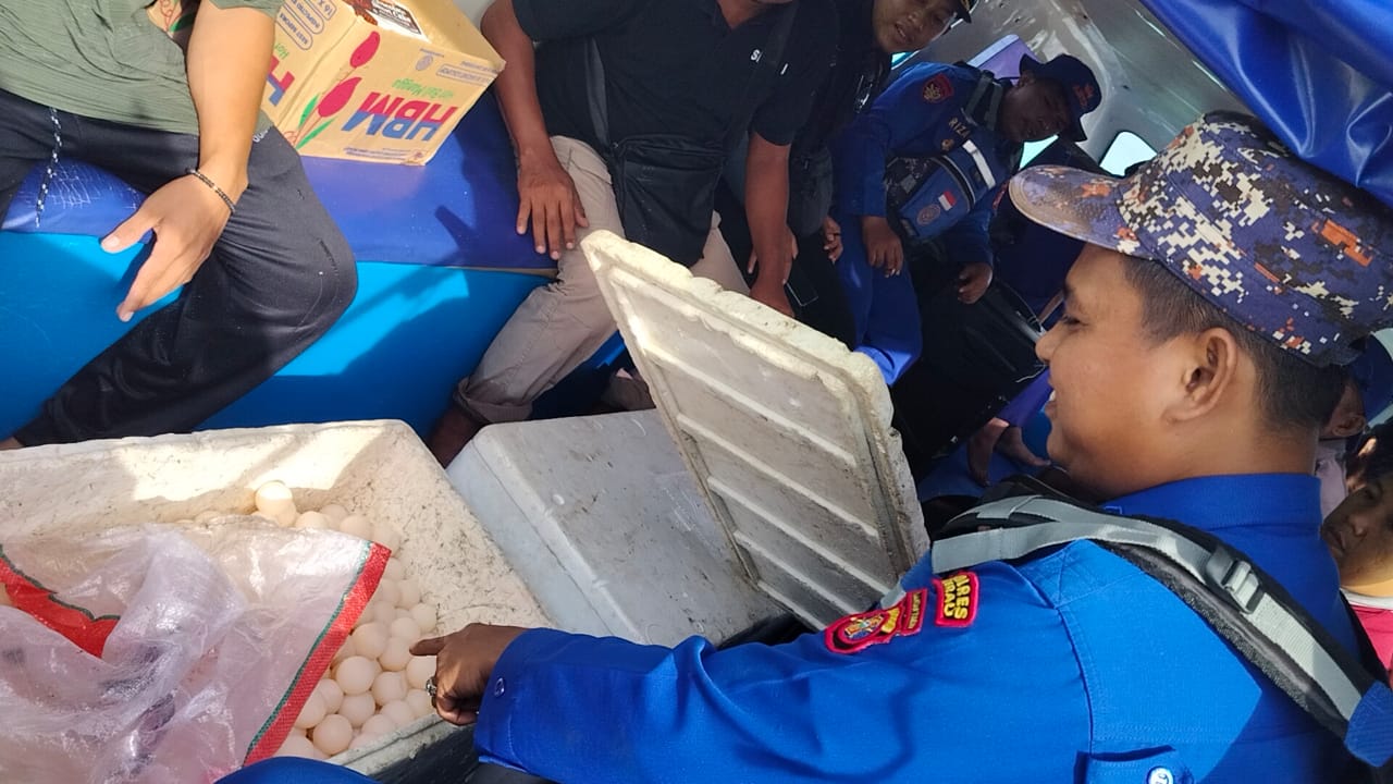 Miris!!! Ranger Penjaga Pulau Justru Kedapatan Jual 2 Ribu Telur Penyu yang Dilindungi