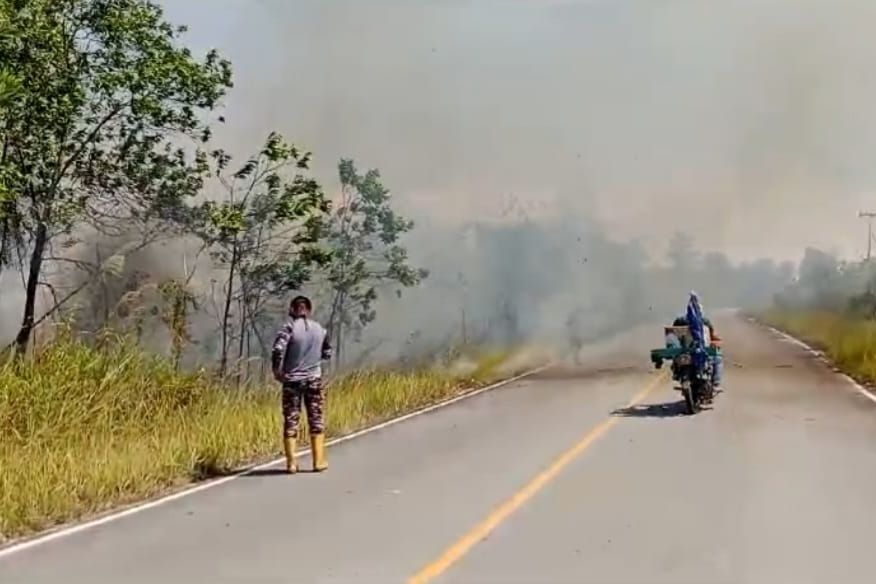 BPBD Catat 51 Titik Panas di Berau, Waspada Karhutla!