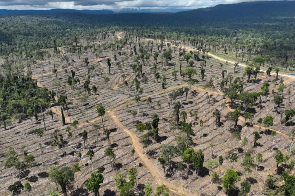 Dishut Kaltim Tegaskan Pengawasan Izin HTI Aktif, Tanggapi Laporan Jejak Deforestasi ke Pasar Eropa