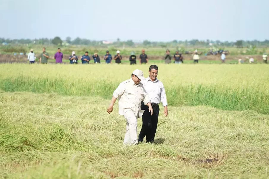 Percepat Swasembada Pangan, Presiden Prabowo Kunjungi Lahan Pertanian di Merauke