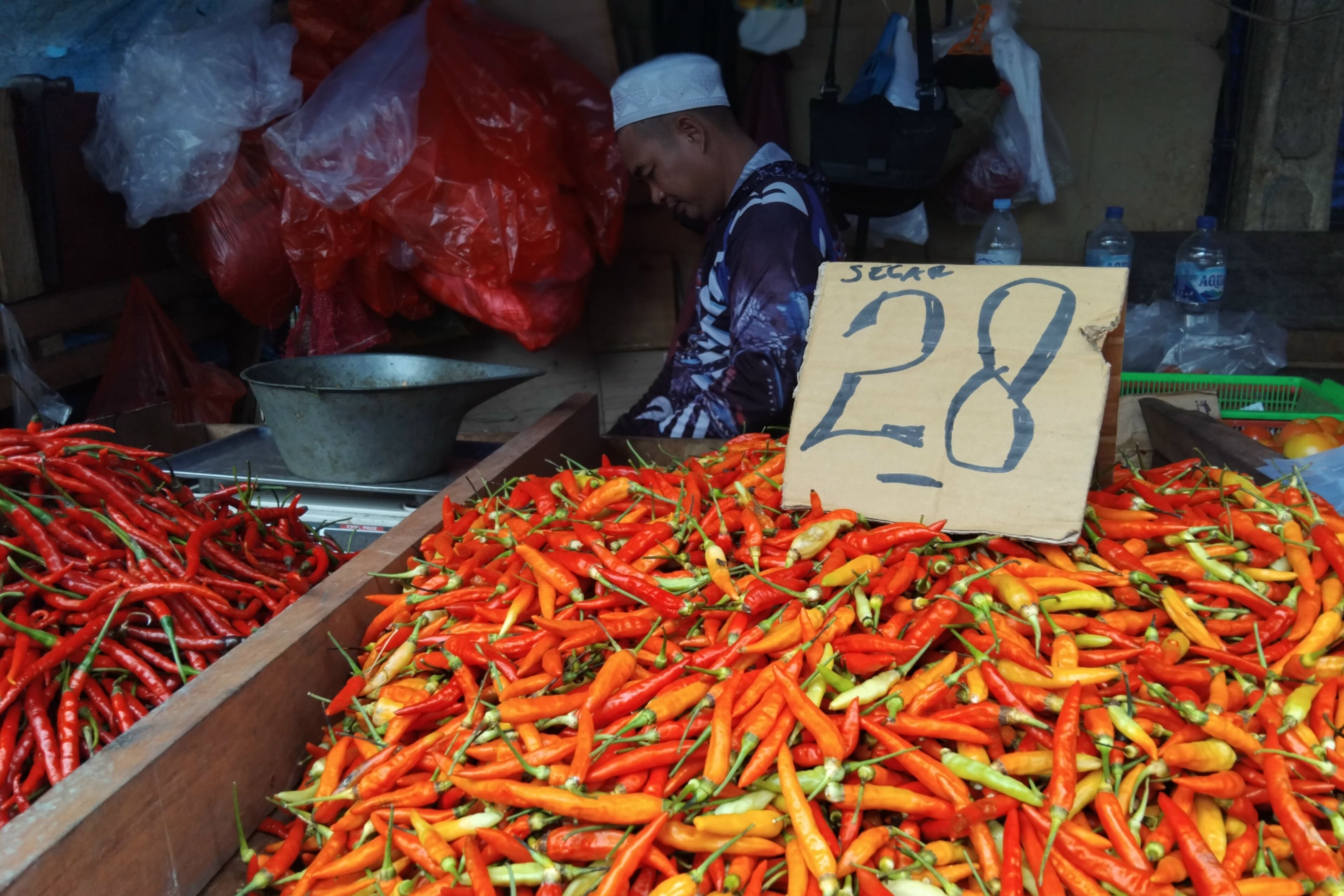 Pasokan Lancar Jelang Iduladha 1446 H, Harga Cabai di Balikpapan Turun