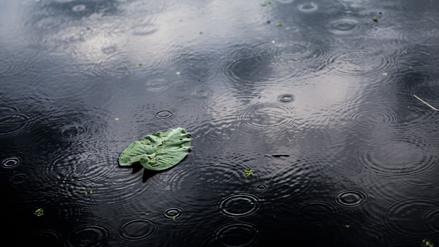 Ramalan Cuaca Kaltim dan IKN, 5 Maret 2026, Cek di Sini!