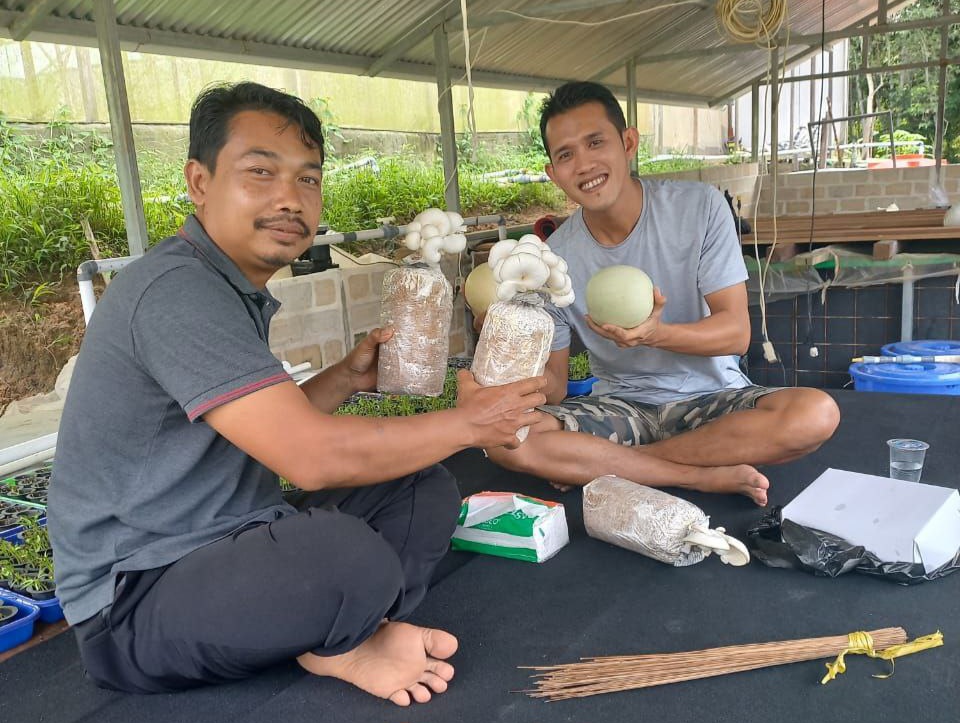 I Made Susana Panen Cuan dari Bisnis Jamur Tiram