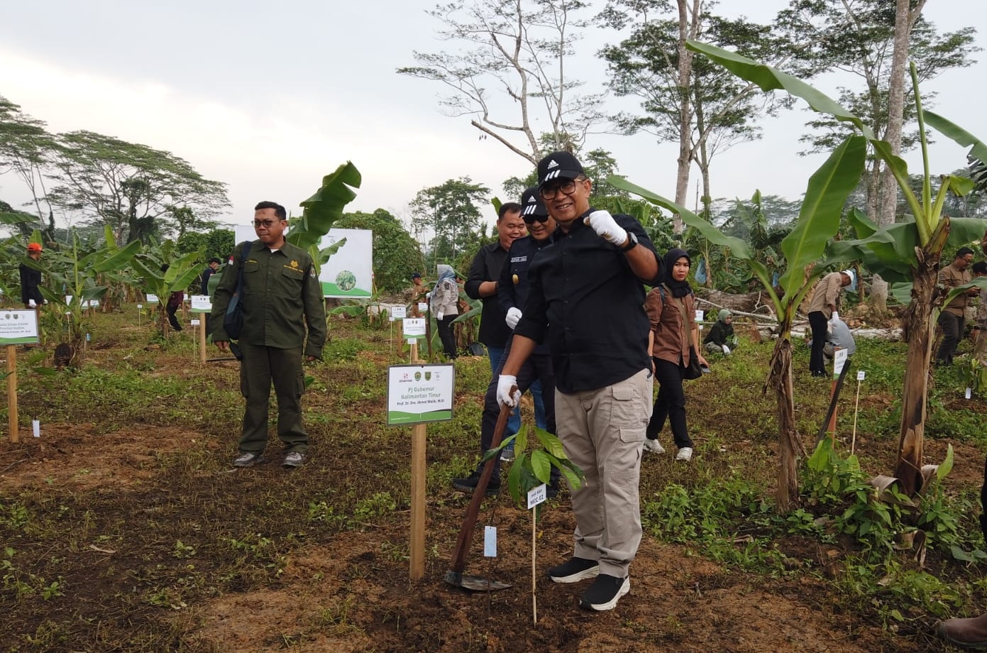 Perlu Kontribusi Semua Pihak Atasi Lahan Kritis Pasca Tambang dengan Menanam Pohon Endemik