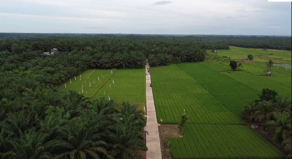 Tingkatkan Kualitas Hasil Pertanian, Pemkab Paser Sediakan Infrastruktur kemandirian Pangan