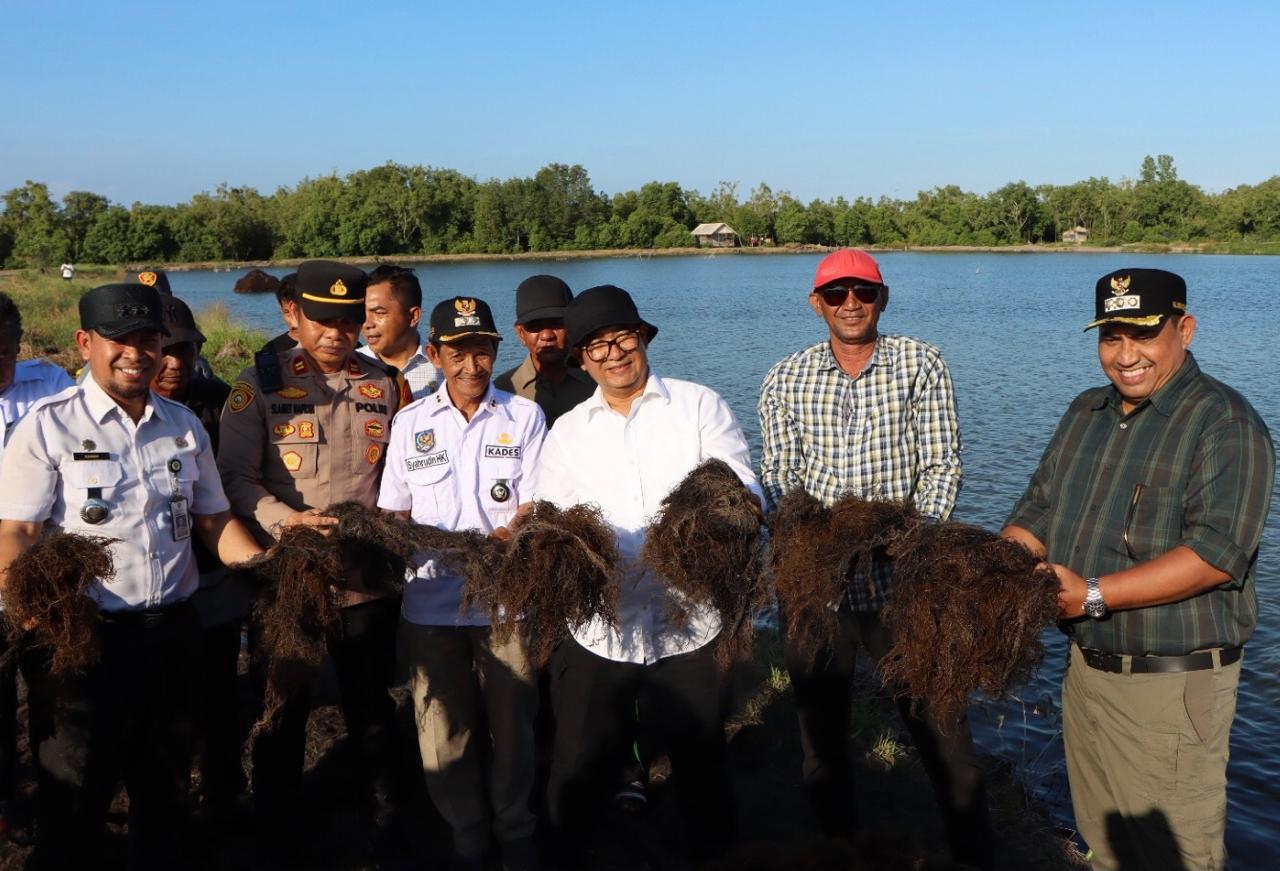 PPU dan Paser Punya Potensi Besar dalam Produksi Rumput Laut, Akmal Malik: Harus Kolaborasi