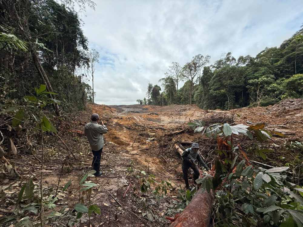 Gakkum LHK Telusuri Dugaan Penyerobotan Lahan KHDTK Unmul