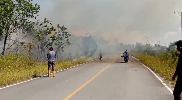 Karhutla Kembali Terjadi di Jalan Poros Menuju Derawan