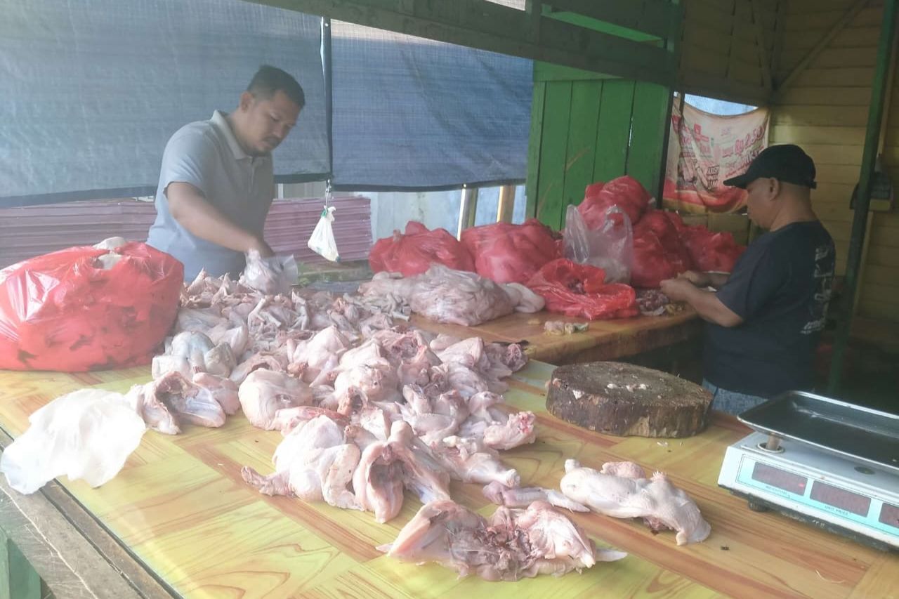 Harga Ayam di Pasar Barong Tongkok Kutai Barat Masih Stabil Jelang Idulfitri