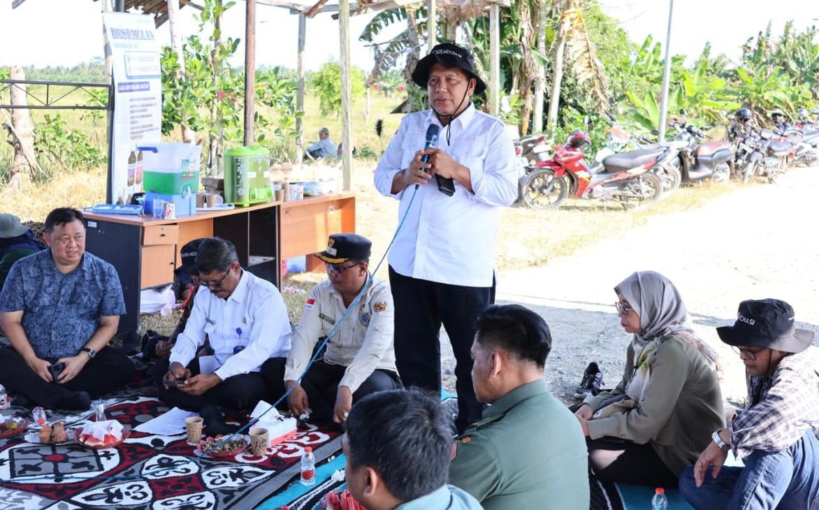 Budidaya Padi di Lahan Sulfat Masam, 3 Desa di PPU Manfaatkan Teknologi Tepat Guna