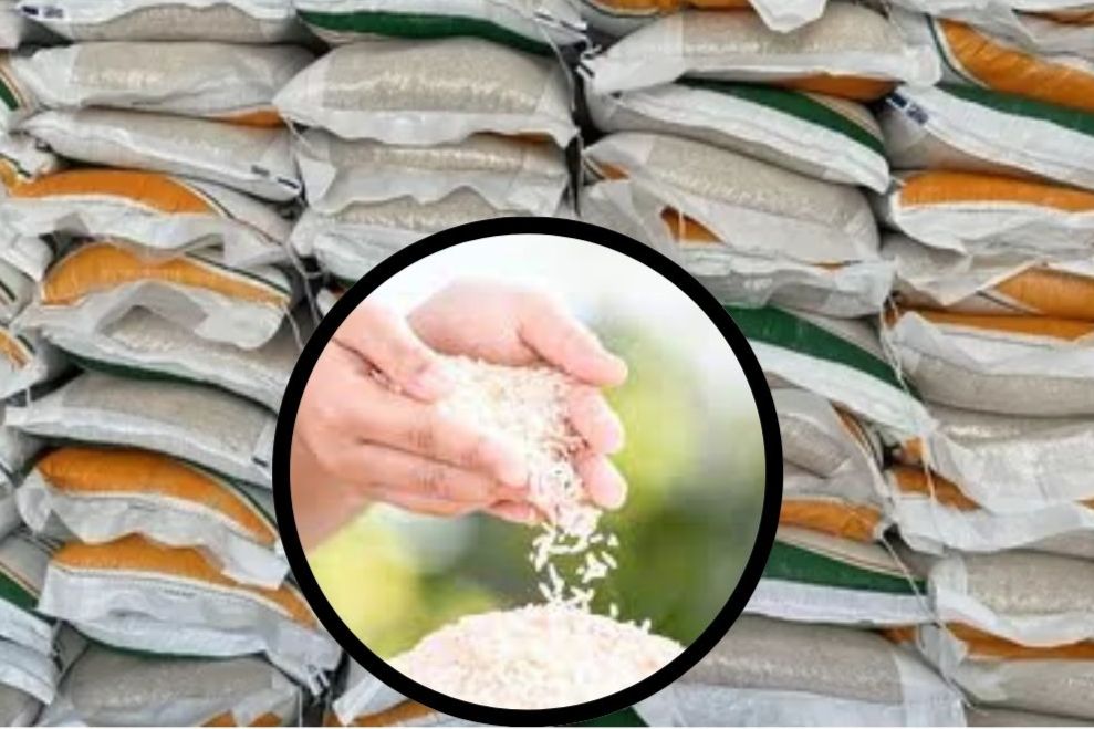 Pasokan Beras Premium ke Kaltim Turun 75 Persen, Bulog Pastikan Stok Medium Melimpah