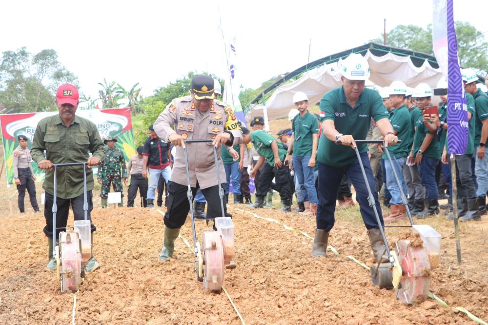 Astra Agro Lestari Dukung Swasembada Pangan Melalui Penanaman Jagung Serentak di Kaltim