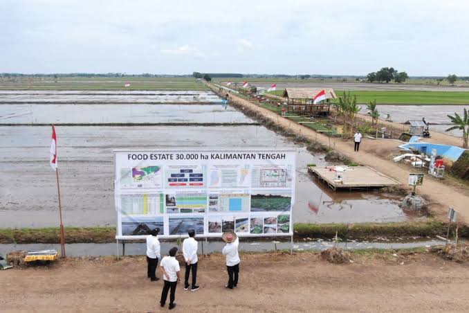 Ekonom Sebut Food Estate Proyek Gagal, Bukan Solusi Efektif