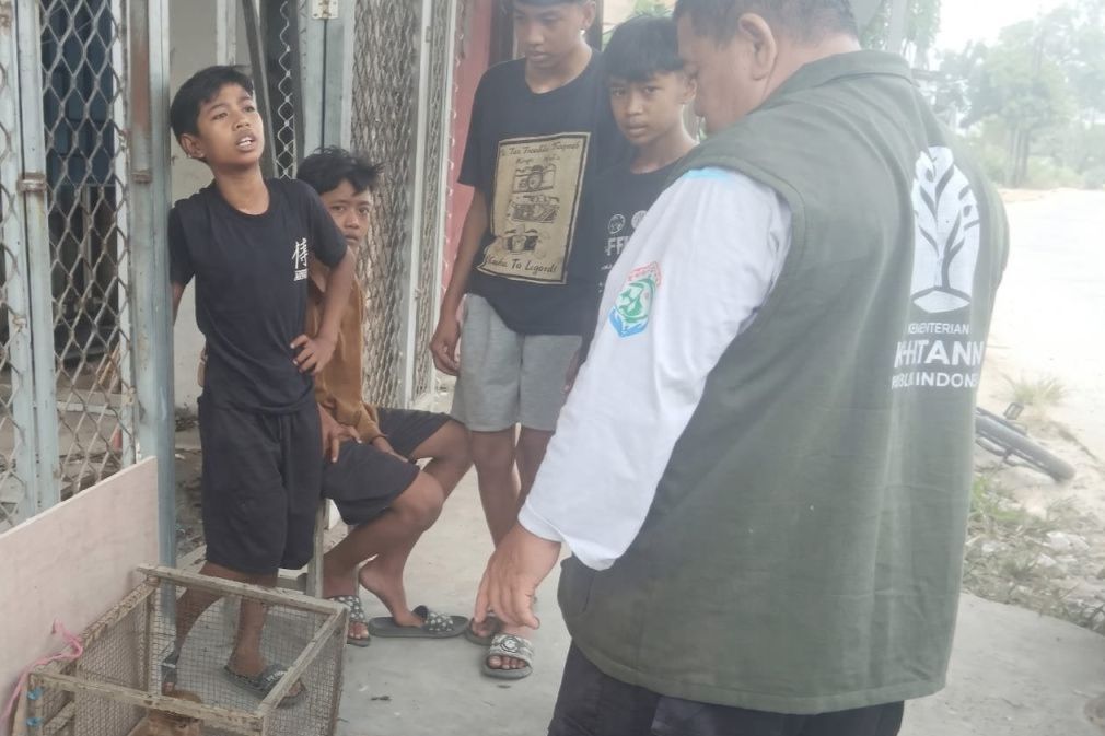 Melapor ke Call Center BKSDA, 4 Bocah di Samarinda Selamatkan Seekor Bekantan