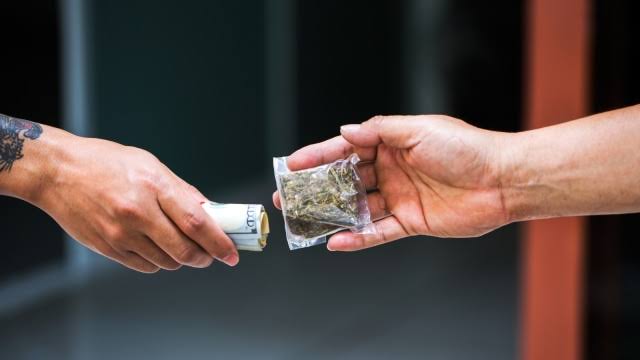 Dua Pemuda Ditangkap Usai Ambil Paket Berisi Ganja di Kantor Ekspedisi