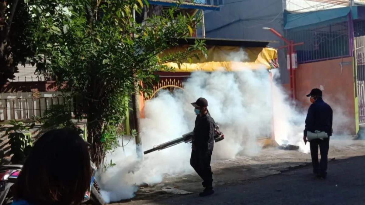 Kasus DBD Kaltim Mencapai 2.210 Kasus, Balikpapan Masih yang Tertinggi