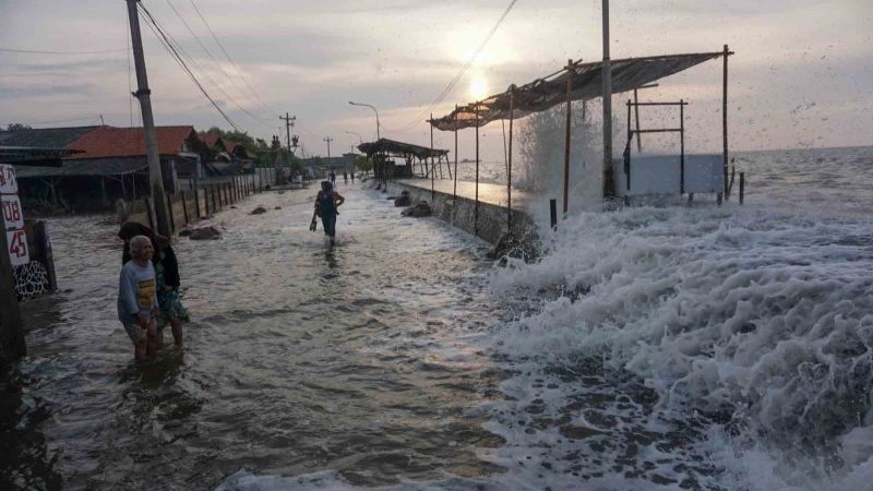 Waspada Pasang Laut 2,7 Meter! BMKG Peringatkan Warga Pesisir Kaltim  