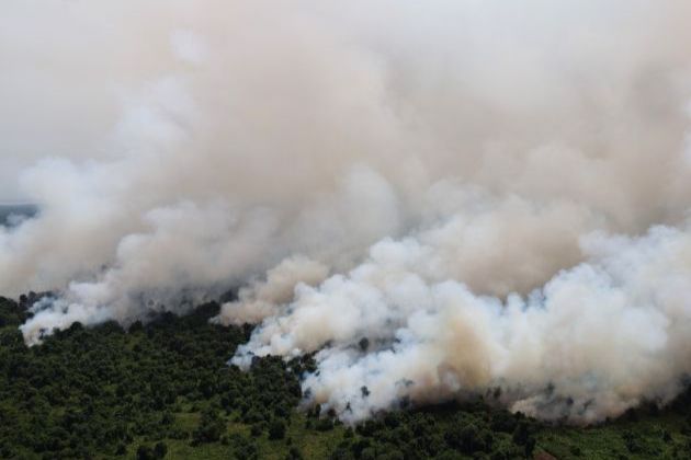 Terkait Karhutla, Izin 5 Perusahaan di Kalimantan Barat Ditutup