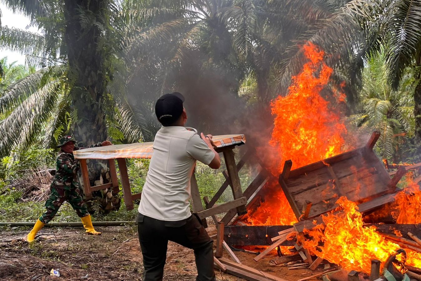 Arena Sabung Ayam dan Judi Dadu di Buluminung PPU Dibakar