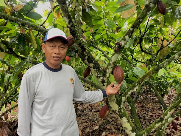 Saenuddin, Perantau Sulawesi yang Sukses Budidayakan Kakao di Berau 