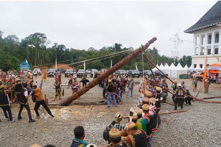 Bupati Bonifasius Terima Gelar Adat 'Lung Malang Daleq', Ada Simbol Penanam Kayog Aren