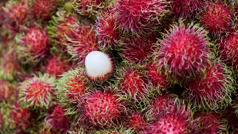 Benarkah Rambutan Bikin Batuk dan Asam Lambung? Cek Faktanya di Sini!