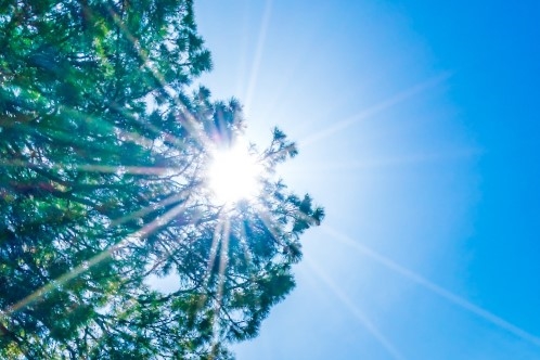 Ramalan Cuaca Kaltim dan IKN, 20 Agustus 2026, Suhu Udara Capai 33 Derajat Celcius!