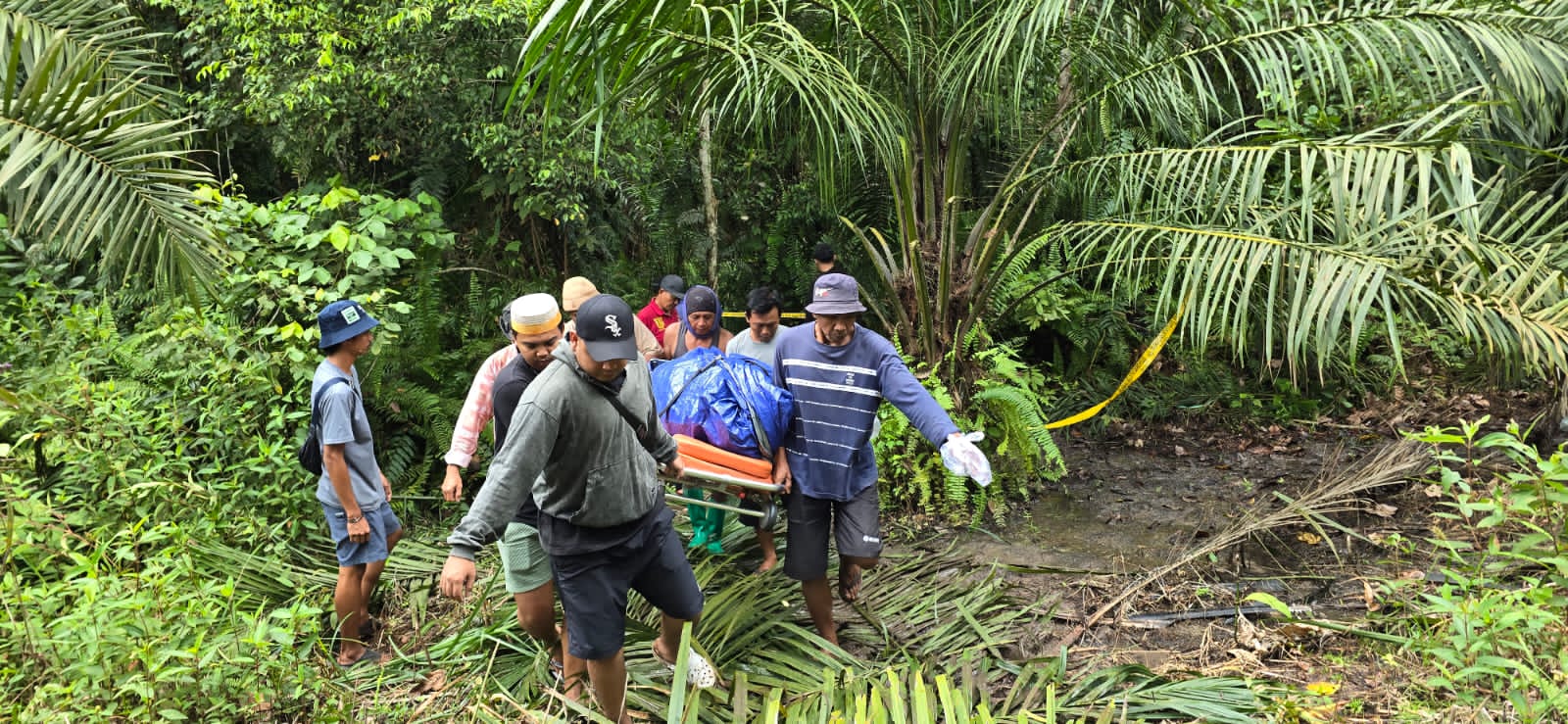 Polsek Bongan Tangkap Satu Terduga Kasus Pembunuhan di Kebun Sawit 