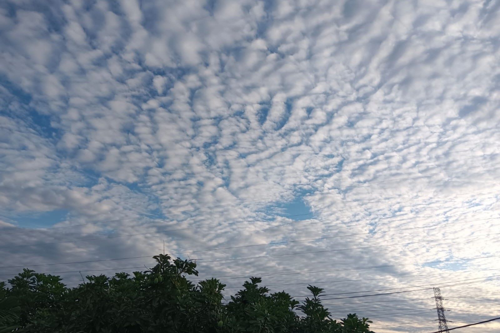 Ramalan Cuaca Kaltim, 27 Juni 2025, Cek di Sini!