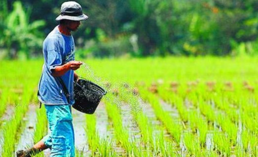 Dapat Dana Rp 800 Juta dari ADK, Kelurahan Maluhu Prioritaskan Sektor Pertanian