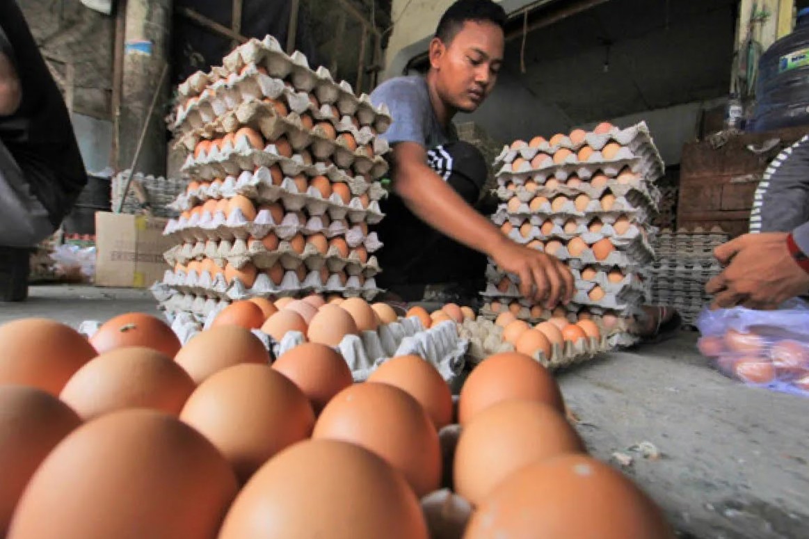 Tekan Inflasi, Pemkot Balikpapan Siapkan Perusda untuk Intervensi Distribusi Telur