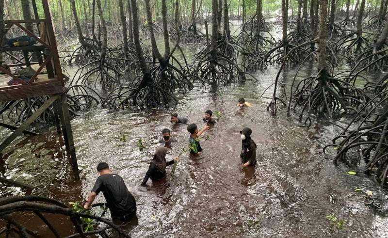 Benteng Pesisir Kaltim, Bontang Mangrove Park Bukan Sekedar Objek Wisata