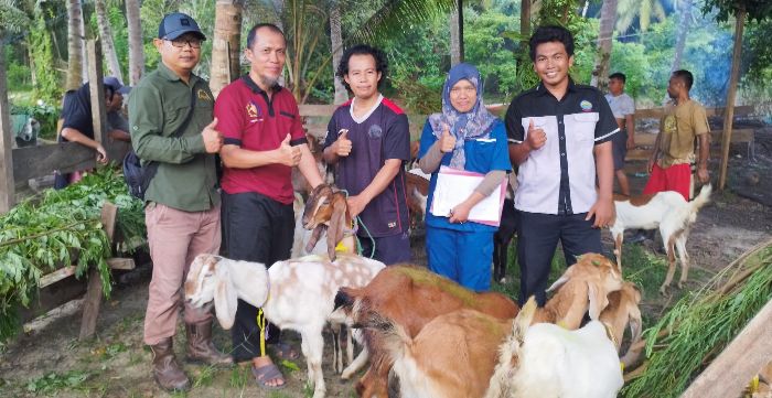 DPHP Bagikan Puluhan Ekor Kambing ke Peternak di Kabupaten Berau