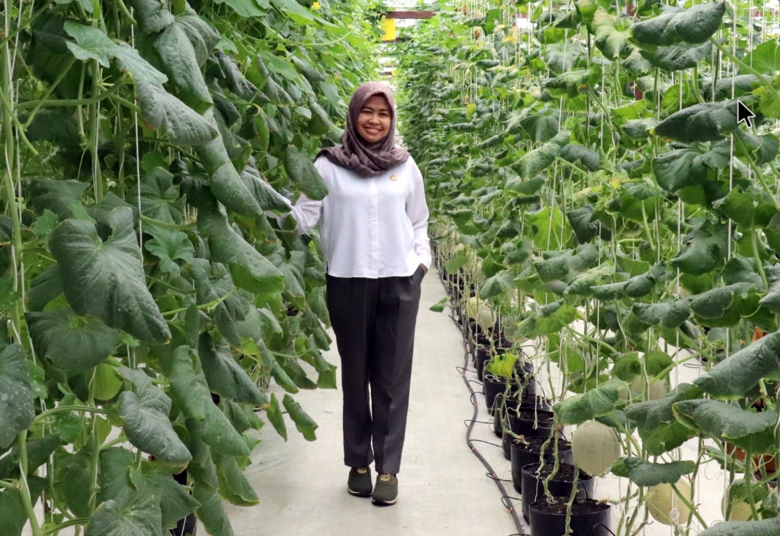 Kaltim Siap Maksimalkan Potensi Lahan Rawa demi Swasembada Pangan