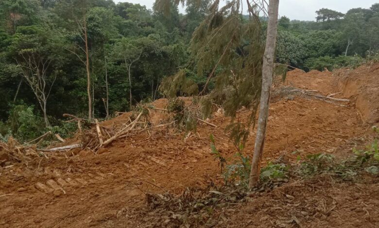 PT Budi Duta AgroMakmur Sebut Proses HGU dan Plasma Masih Berjalan Bertahap