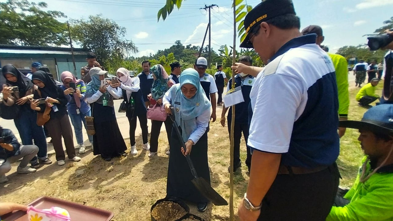 Peduli Kelestarian Lingkungan, Pemkab Berau Lakukan Program Penghijauan Lahan Kritis