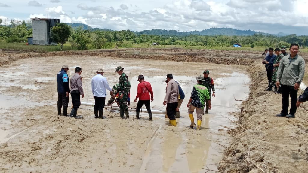 Dinilai Lebih Potensial, Dewan Dukung Pengembangan Padi Sawah di Mahulu