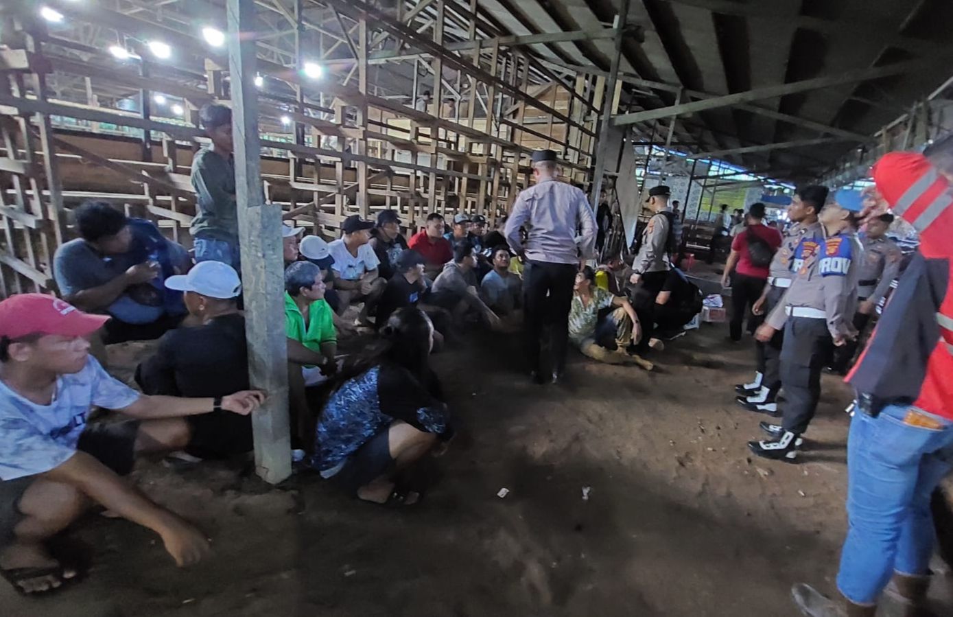 Digerebek! Arena Besar Sabung Ayam di Loa Janan Dibongkar Polisi