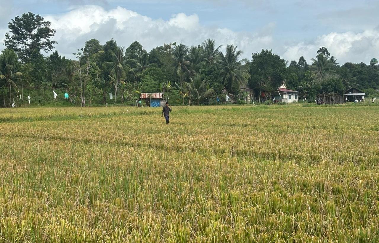 Pemkab Kukar Gelontorkan Rp10 Miliar untuk Normalisasi Irigasi dan Jalan Tani Loa Ipuh