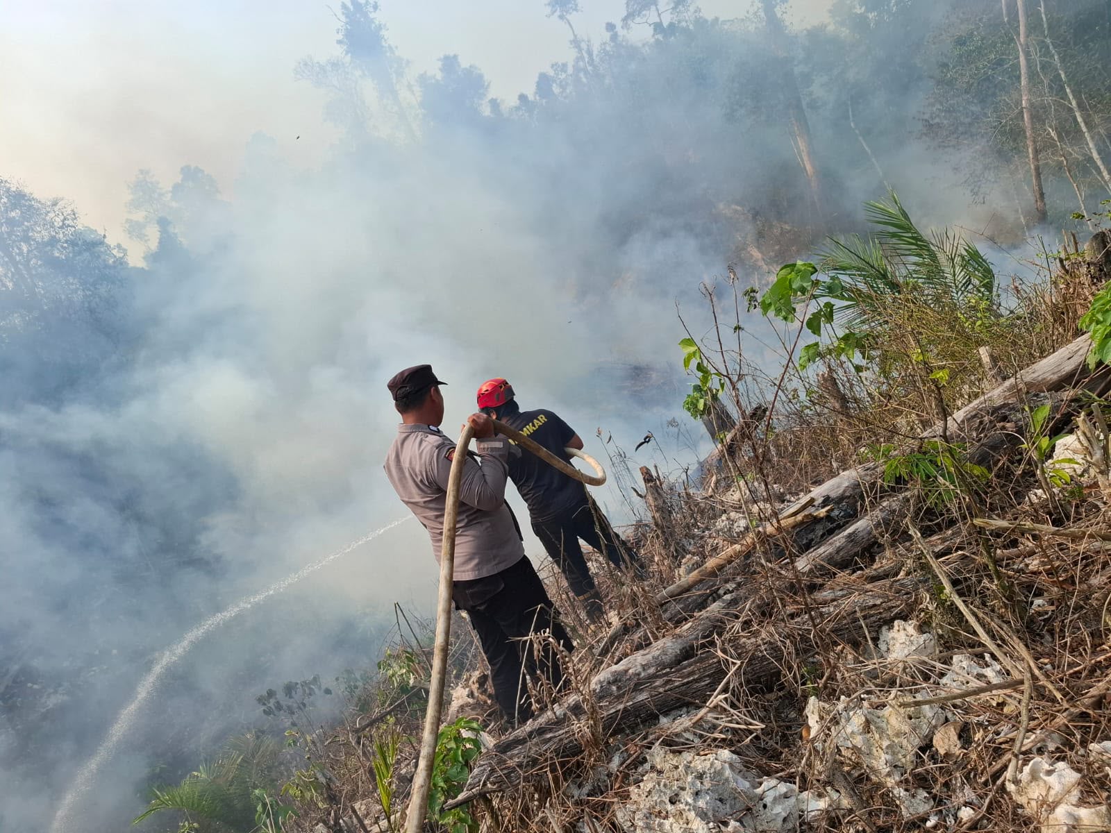 Puluhan Titik Panas Terdeteksi di Berau, BMKG Imbau Masyarakat Tetap Waspada 