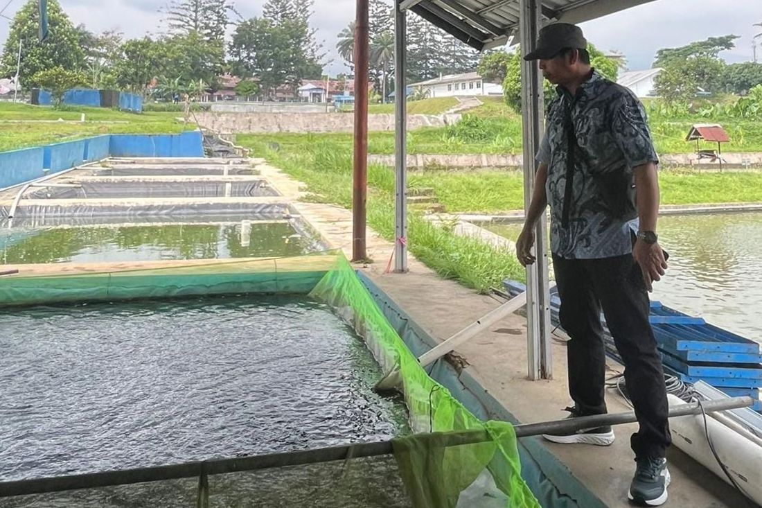 Produksi Perikanan Budidaya PPU Tiap Tahun Meningkat