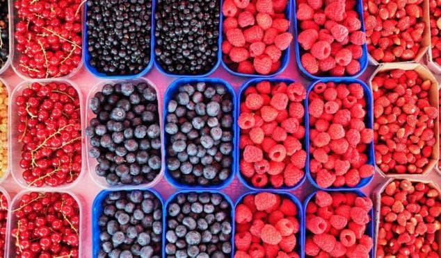 8 Makanan Kaya Kolagen Alami untuk Kulit Kencang dan Awet Muda