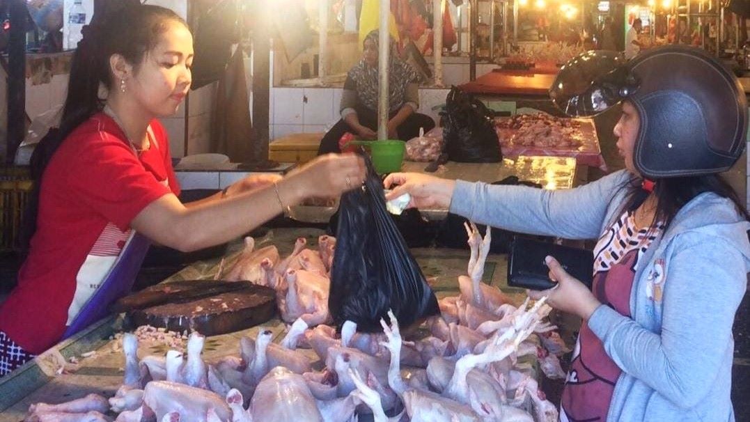 Sasar 39 Ribu Pelaku Usaha di PPU, BPS Jamin Data Sensus Ekonomi 2026 Rahasia dan Bebas Pajak