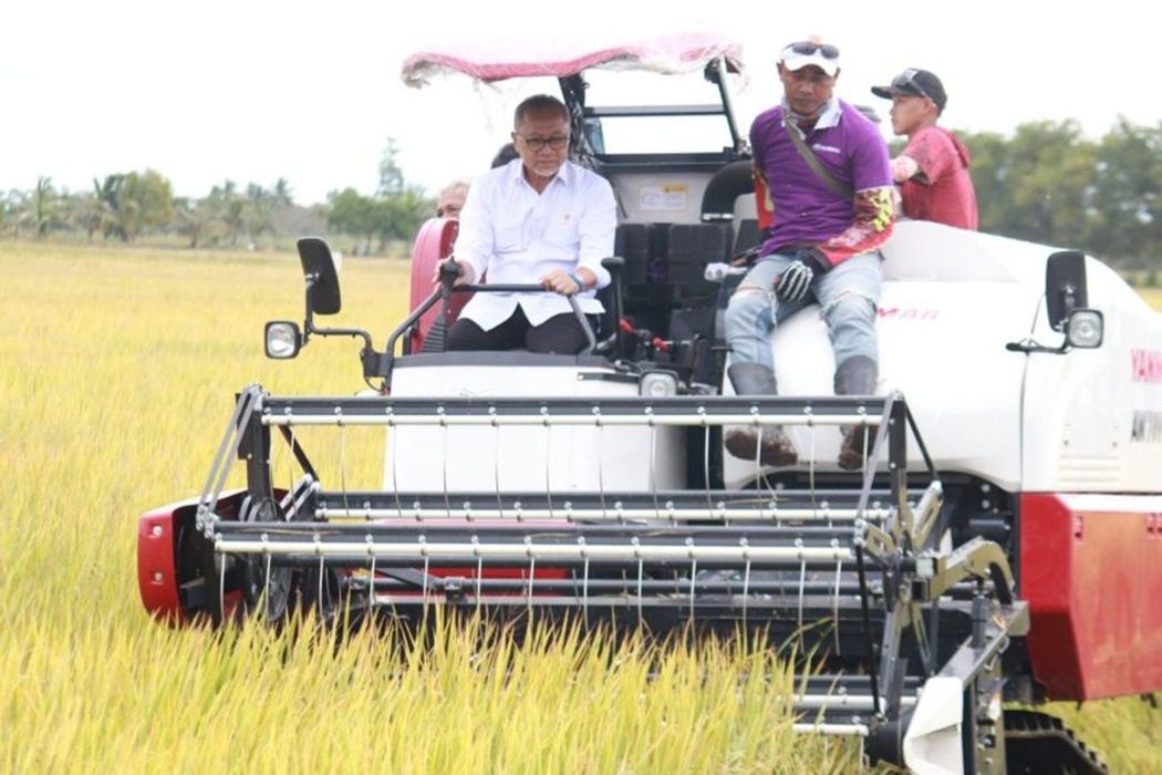 Penyerapan Beras Tinggi, Pemerintah Setop Impor Beras hingga 2026