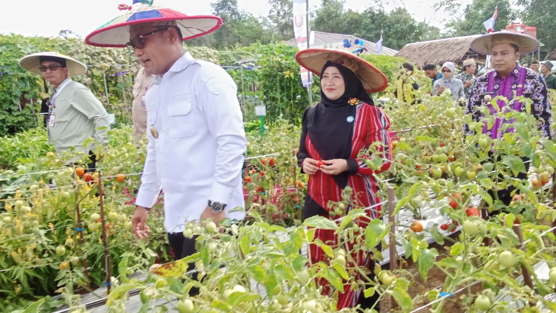 PEDA KTNA XI Kaltim di Kubar, Wagub: Demplot Teknologi Bekal Hadapi Penas 2026