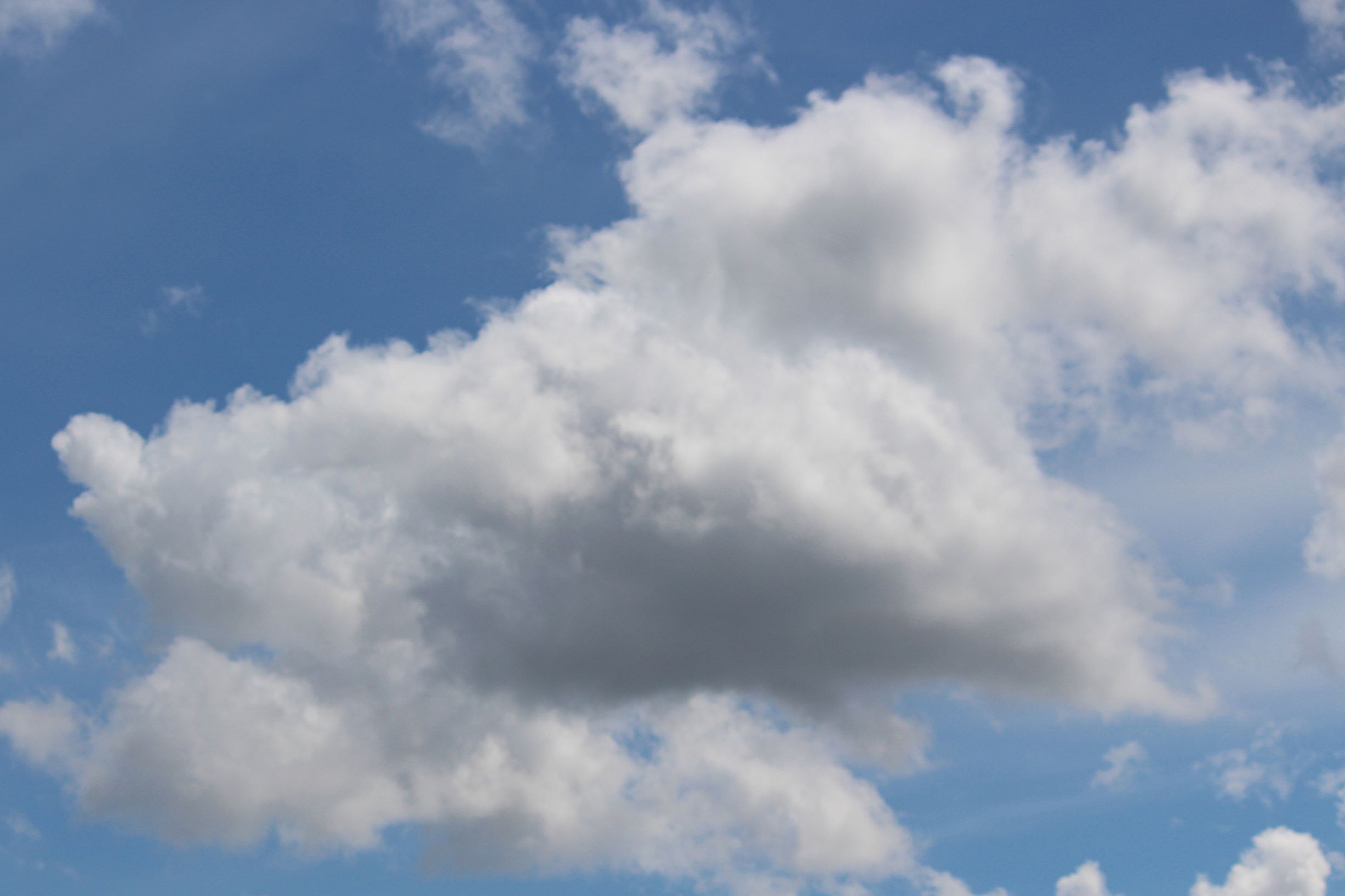 Ramalan Cuaca Kaltim dan IKN, 19 Februari 2026, Cek di Sini!