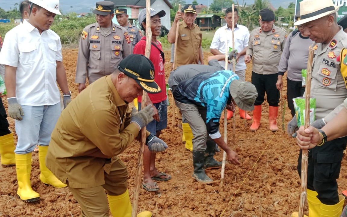 Dukung Ketahanan Pangan Nasional, Polres Mahulu Gelar Tanam Jagung Serentak